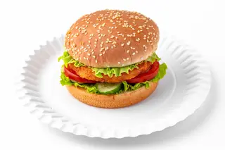 Mr.Vegan Burger