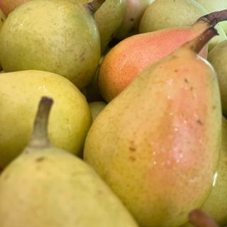 Pere coscia (ercoline) 500 gr. Ca