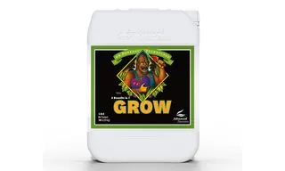 PH Perfect Grow 10 ლ ძირითადი სასუქი