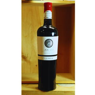 Clunia Malbec Vino Argentino
