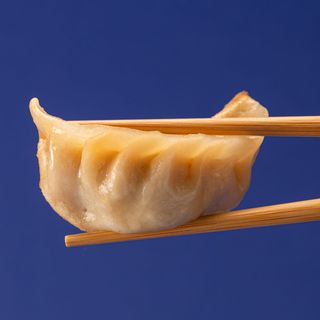 Gyoza Parmigiana 6pz