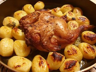 Galletto con patate fritte
