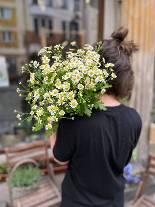 „Wiosna idzie” . Kwiaty wspaniale wyrażają emocje.