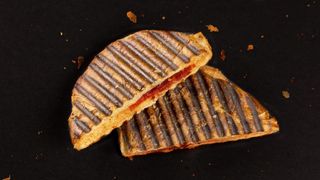 Big Panther Bikini ibérico