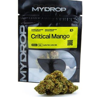 Critical Mango Hydro 1Gr.