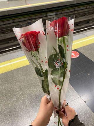 2 Roses Emballées