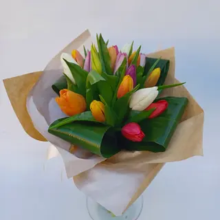 20 Tulipani mix