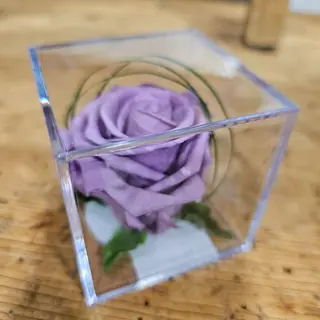 Cubo con rosa ETERNA MORADA