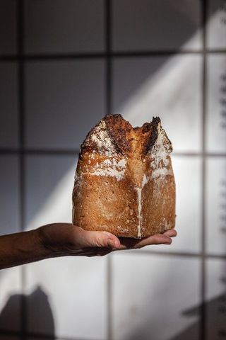Molde De Masa Madre Corte Arriba 600 Gr