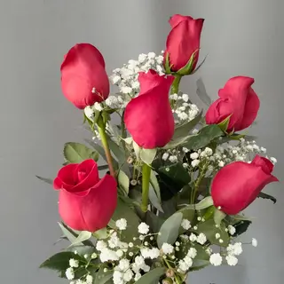  Rosas rojas 6 unidades