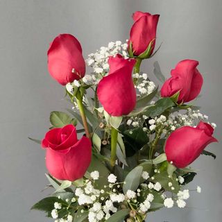  Rosas rojas 6 unidades