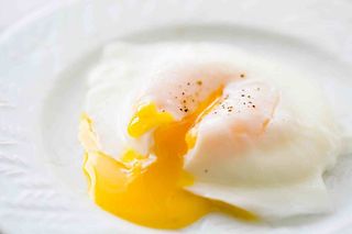 Poached Egg