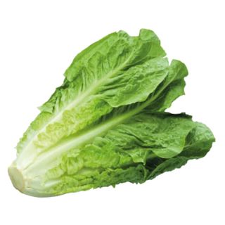 Laitue Beldia - Unité 