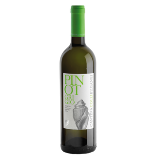 Vino bianco Pinot Grigio 75 cl