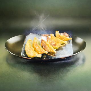 YAKIGYOZA VEGETAL 6U