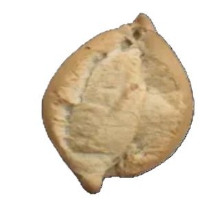 Pan De Bollo