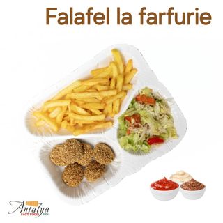(NOU) FALAFEL LA FARFURIE