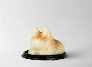 Панна кіт "французька ваніль"