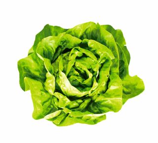 Insalata lattuga 350g