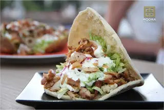 Kebab Solo Carne