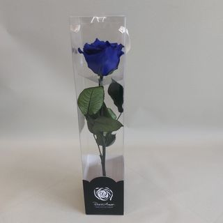 Rosa blu stabilizzata con gambo 