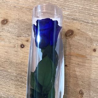 Rosa eterna por unidad azul