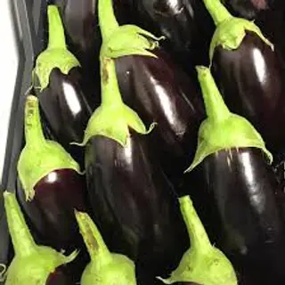 Melanzane nere