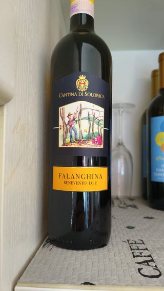 Vino bianco Falanghina