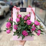 Lady bombastic in bag