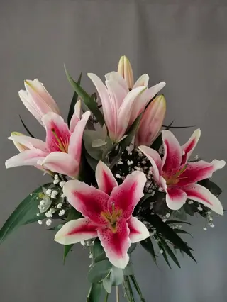 Ramo Lilium rosa mediano
