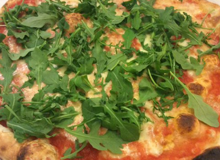 Rucola