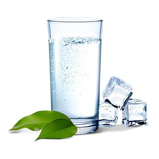 Вода с газом  (1 л.)