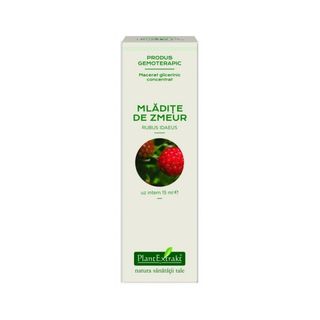 Extract concentrat din mladite de ZMEUR (RUBUS IDAEUS)