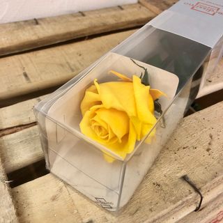 Rosa preservada amarilla tallo largo