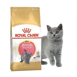 Royal Canin British Shorthair Kitten - сухий корм для кошенят породи британська короткошерста (до 12 місяців)