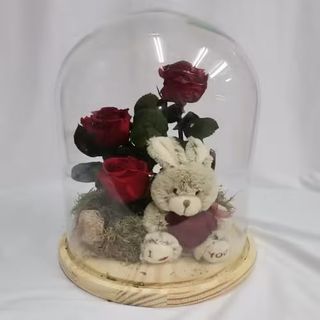 Cúpula De Tres Rosas Preservadas