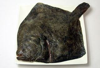 Rodaballo Salvaje Grande > 2Kg. > 2Kg.