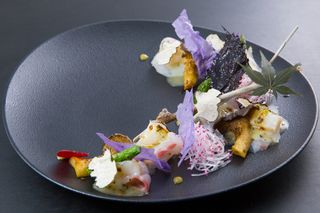 Yuzu Matcha Torifu Sashimi