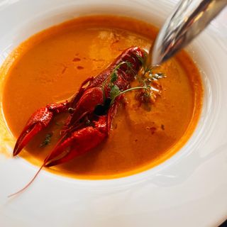 Zakręcone nieboraczki