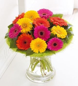 Gerberas con jarrón de cristal (12 uds)