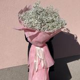 Изящна гипсофила