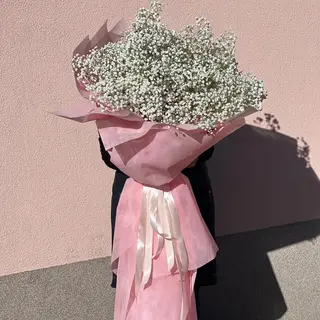 Изящна гипсофила