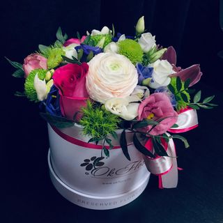 Aranjament în Cutie Nr.7