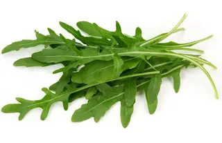 Руккола