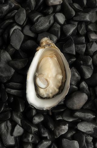 Ostras Speciale Normandia N4 (12 Uds.)