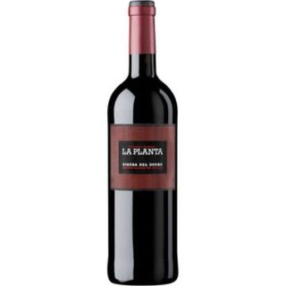 Vino Tinto Ribera Del Duero La Planta Joven (75 cl.)