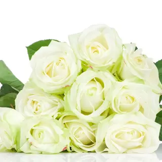 Buchet funerar cu 10 trandafiri
