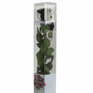 Rosa Preservada (Negra)