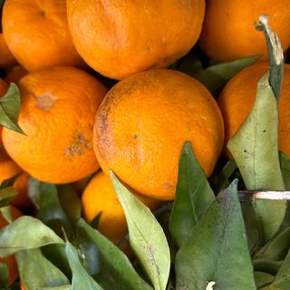 Arance vaniglia 1 kg