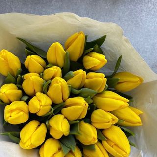 Тюльпан жовтий 1шт 